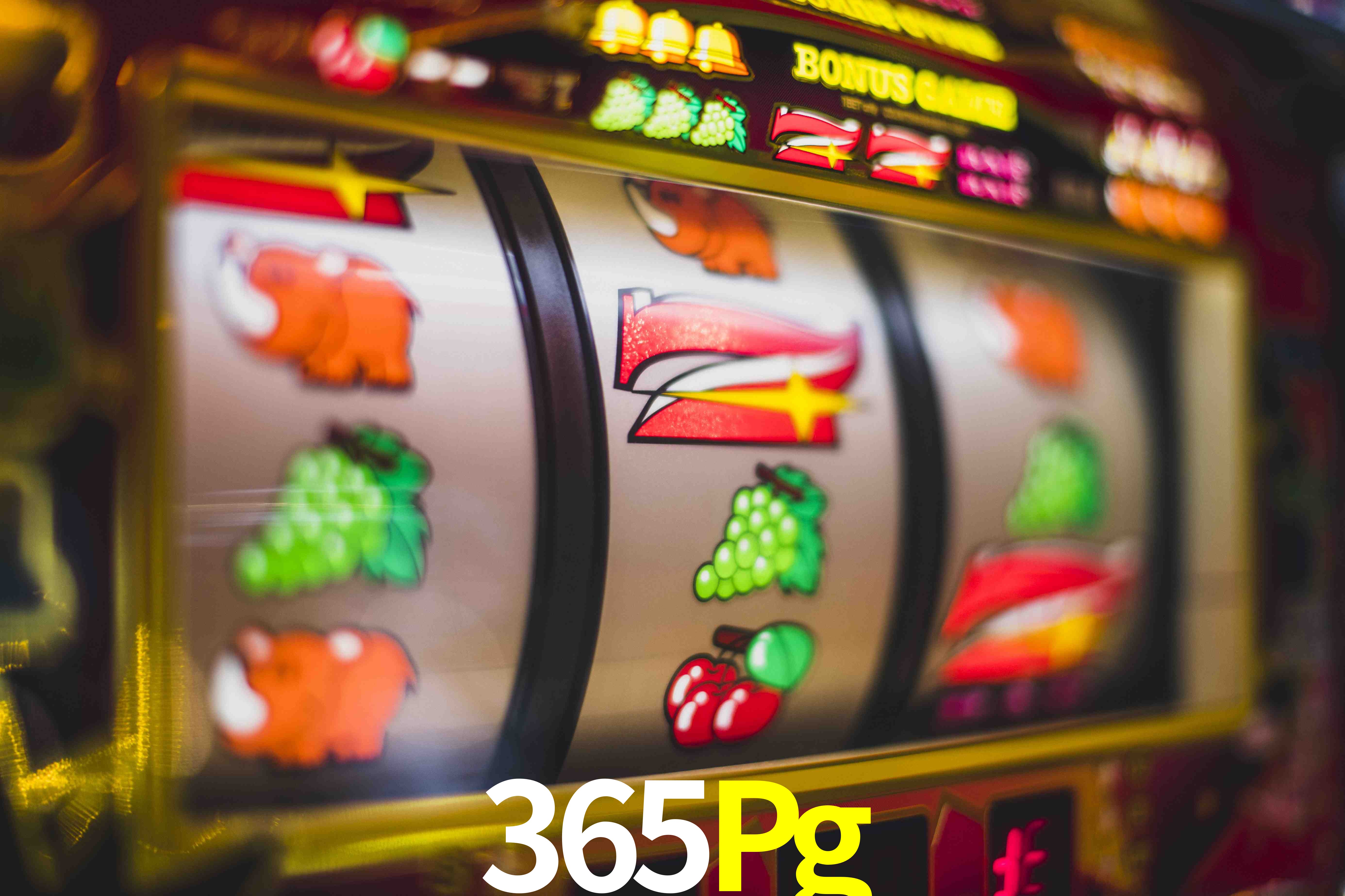 Basketball Betting 365Pg